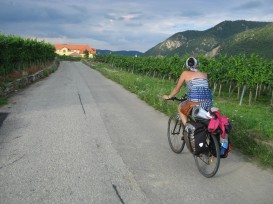 Circulando entre los viñedos del valle de Wachau