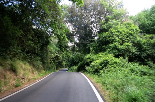 Carretera bajando de Capalbio